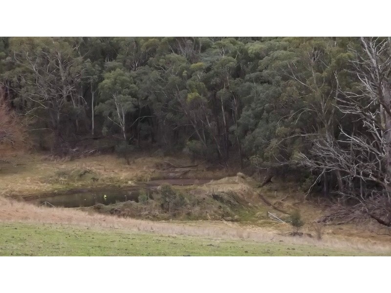 279 McKinnons Road, Benambra VIC 3900