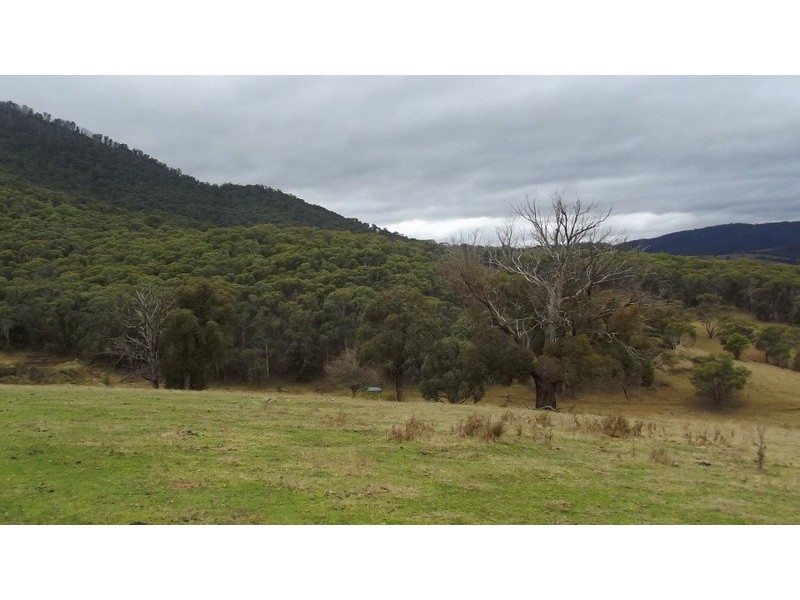 279 McKinnons Road, Benambra VIC 3900