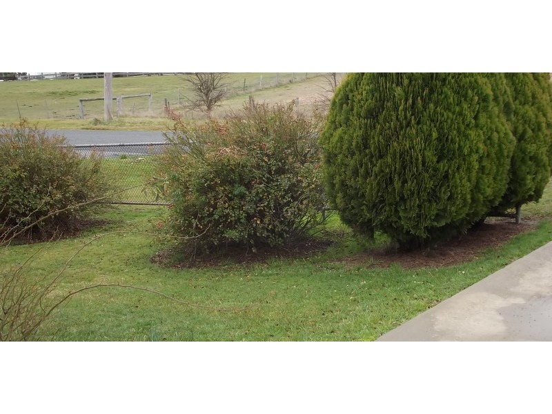 38 Sebastopol Hill Road, Omeo VIC 3898