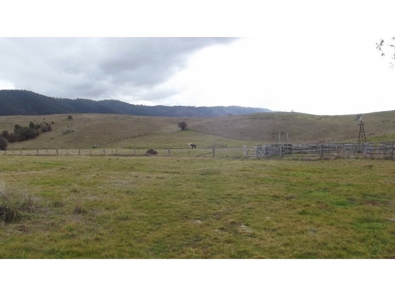 115 Parish Boundary Road, Omeo Valley via, Omeo VIC 3898