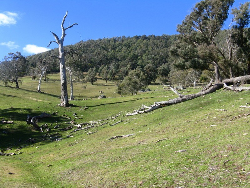 344B Dyer Access Road, Benambra VIC 3900