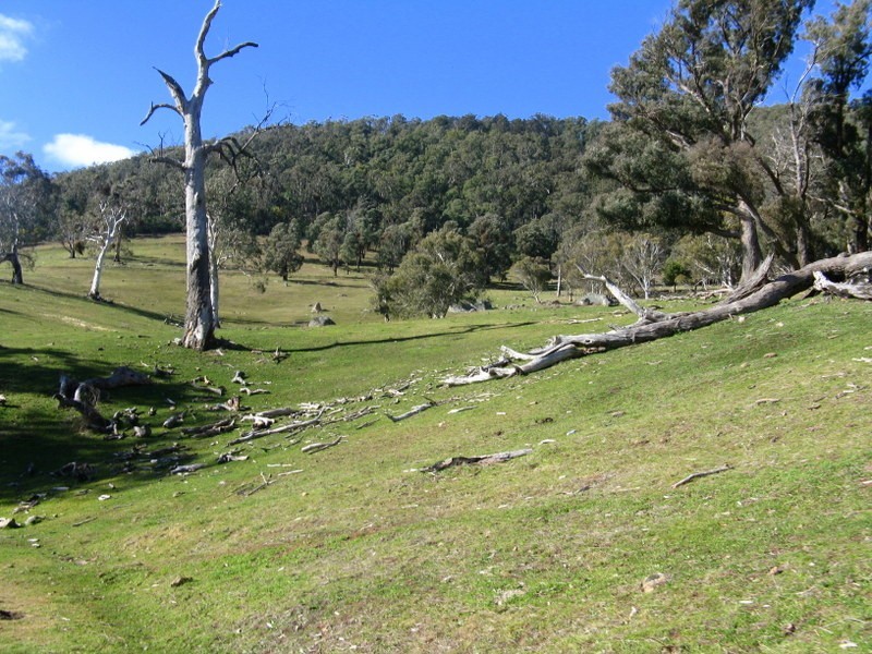 344B Dyer Access Road, Benambra VIC 3900