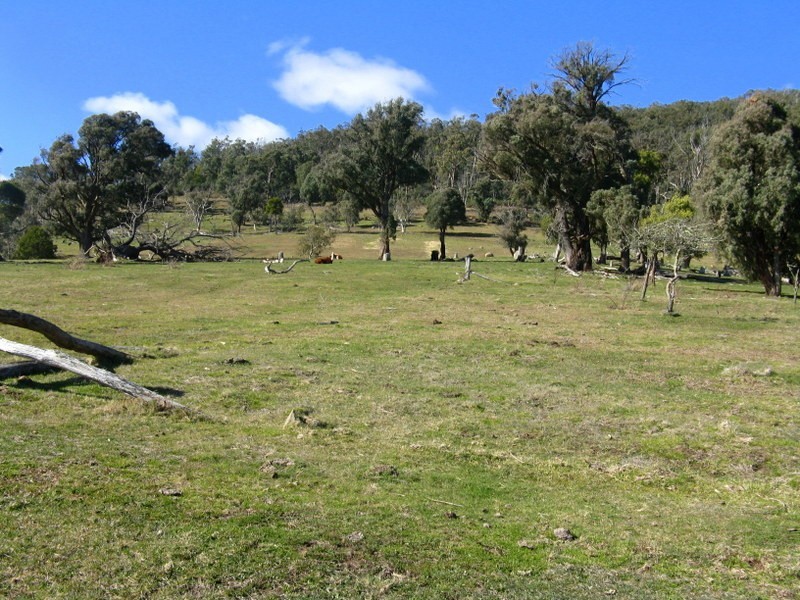 344B Dyer Access Road, Benambra VIC 3900