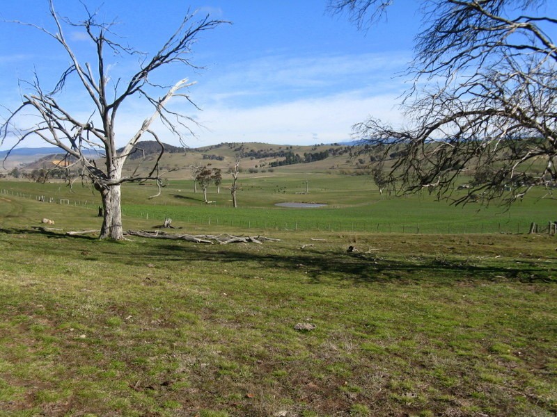 344B Dyer Access Road, Benambra VIC 3900