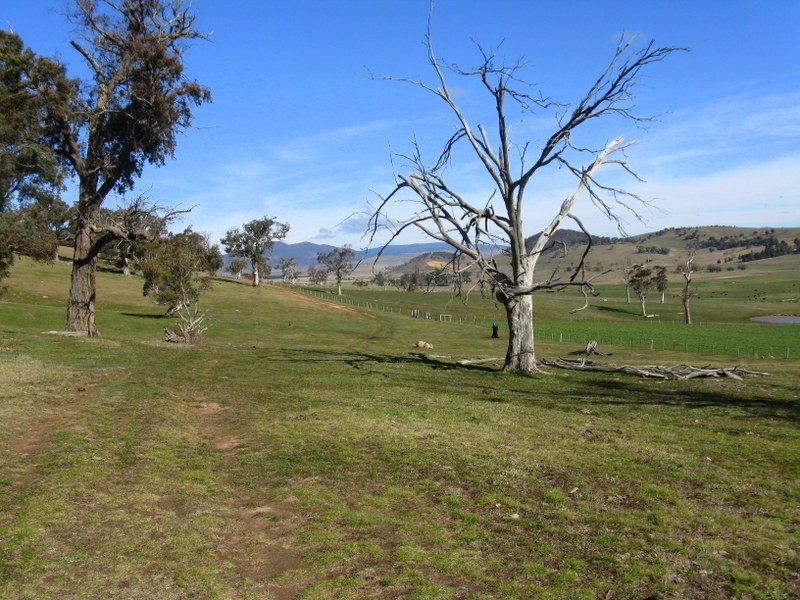 344B Dyer Access Road, Benambra VIC 3900