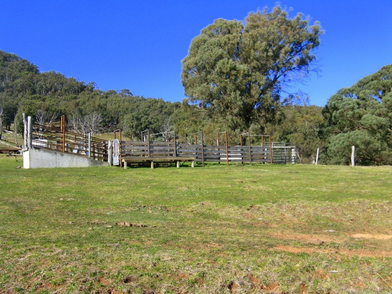344 Dyer Access Road, Benambra VIC 3900