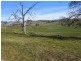 344 Dyer Access Road, Benambra VIC 3900