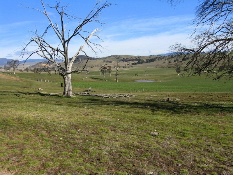 344 Dyer Access Road, Benambra VIC 3900