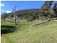 344 Dyer Access Road, Benambra VIC 3900