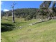 344 Dyer Access Road, Benambra VIC 3900