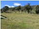 344 Dyer Access Road, Benambra VIC 3900