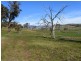 344 Dyer Access Road, Benambra VIC 3900