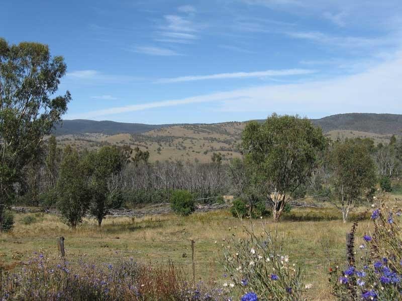 28 Via Dinner Plain Cobungra, Omeo VIC 3898