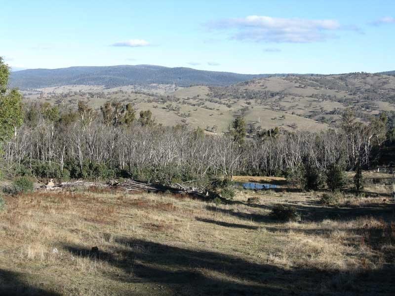 28 Via Dinner Plain Cobungra, Omeo VIC 3898