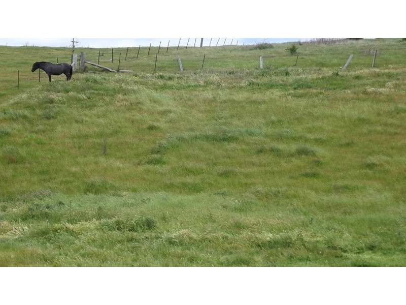 CA1, 72 Gibbo Street, Benambra VIC 3900