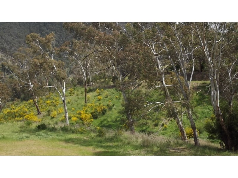 130 Day Avenue, Omeo VIC 3898