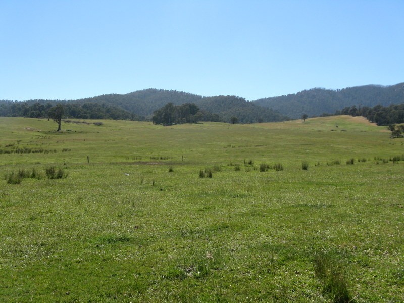 2782 Corryong Road, Benambra VIC 3900