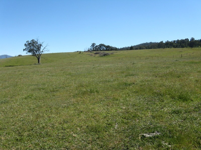 2782 Corryong Road, Benambra VIC 3900