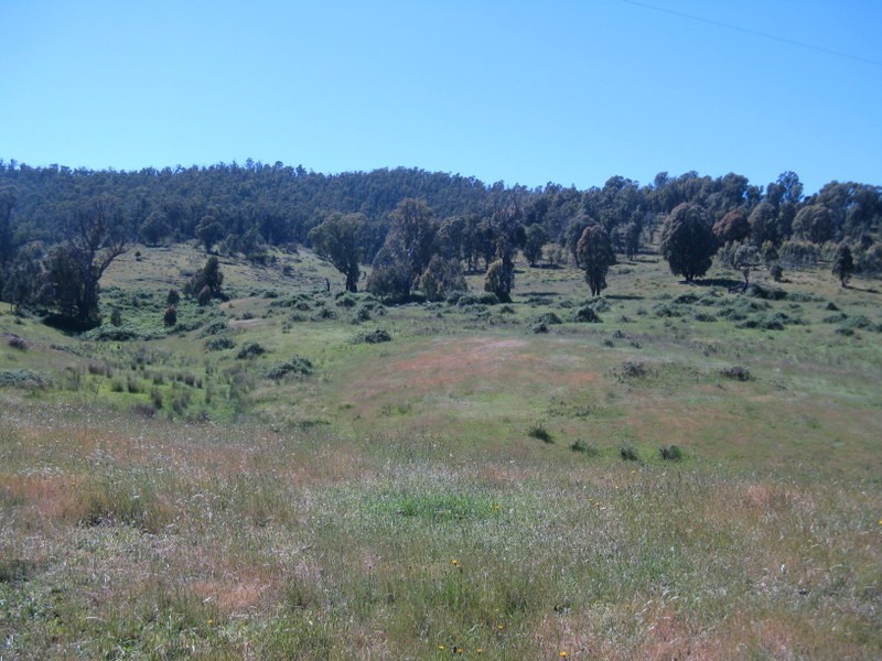 3000 Corryong Road, Benambra VIC 3900