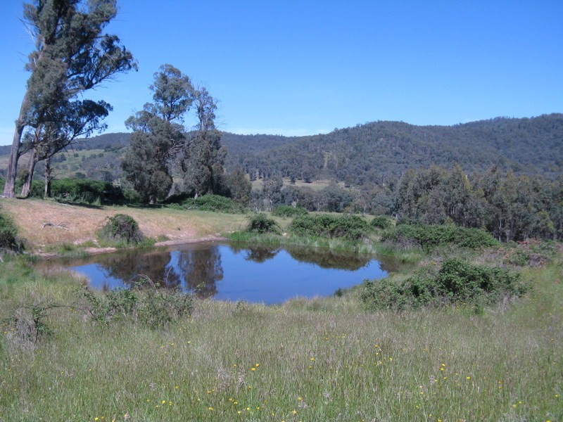3000 Corryong Road, Benambra VIC 3900