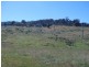 3000 Corryong Road, Benambra VIC 3900
