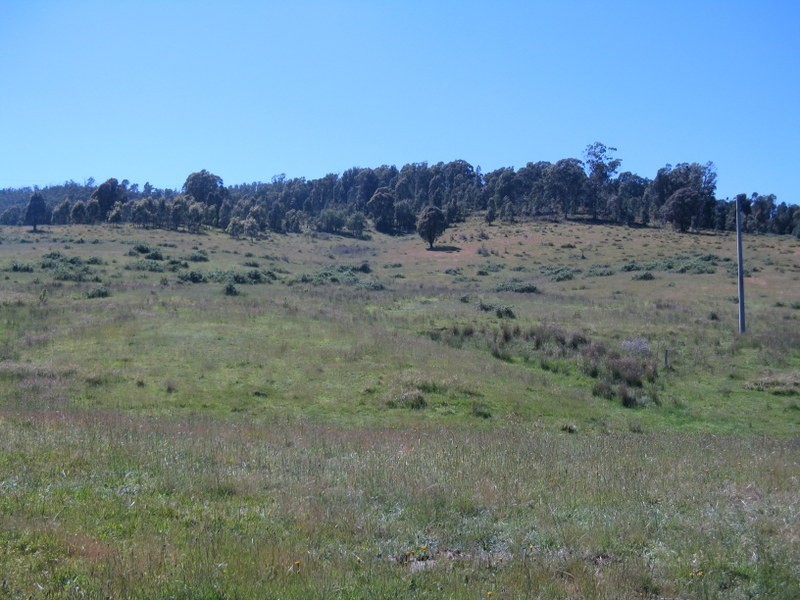 3000 Corryong Road, Benambra VIC 3900
