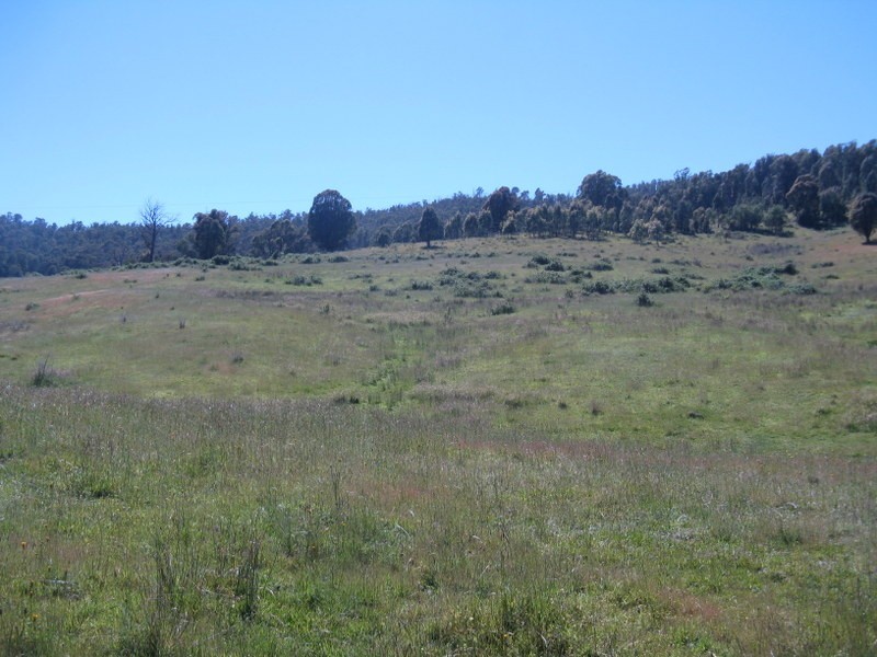 3000 Corryong Road, Benambra VIC 3900