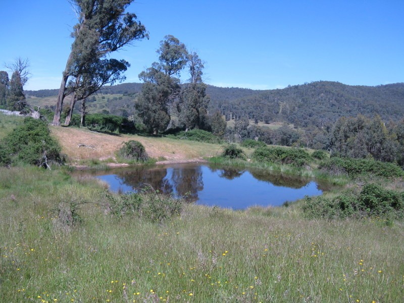 3000 Corryong Road, Benambra VIC 3900