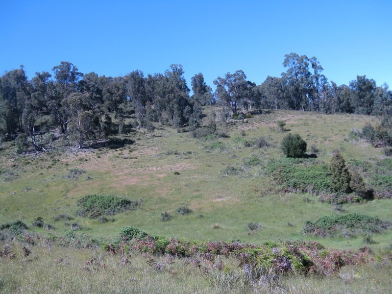 3000 Corryong Road, Benambra VIC 3900