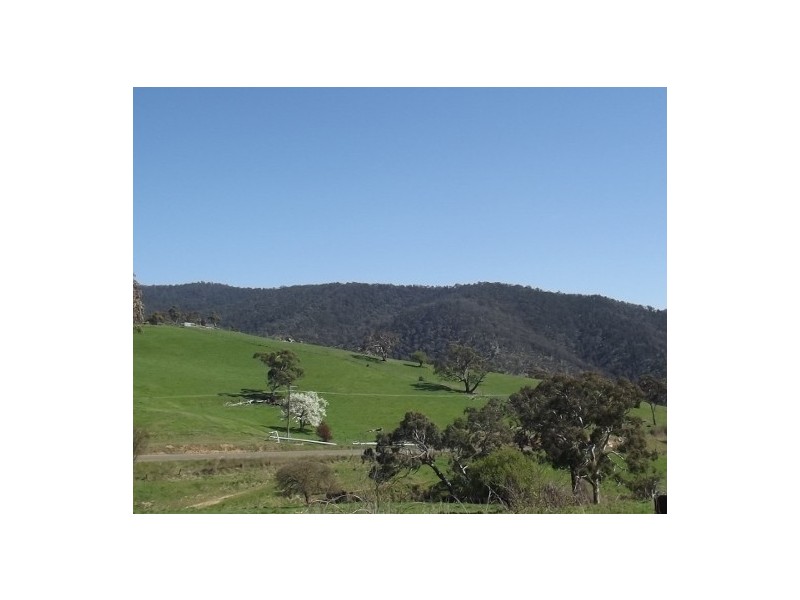 90 Tongio Road Omeo via Snow Fields, Omeo VIC 3898