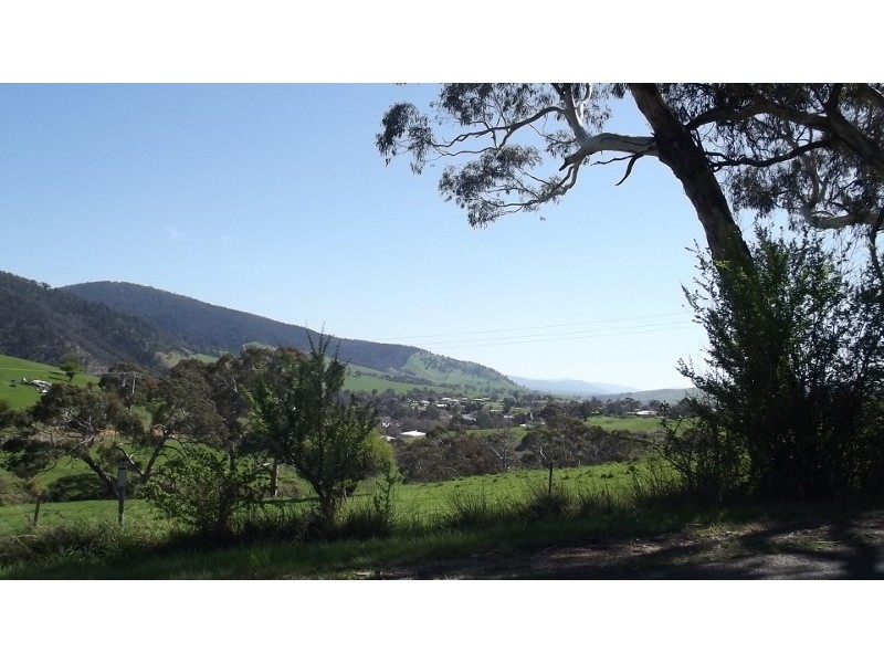 90 Tongio Road Omeo via Snow Fields, Omeo VIC 3898