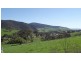 90 Tongio Road Omeo via Snow Fields, Omeo VIC 3898