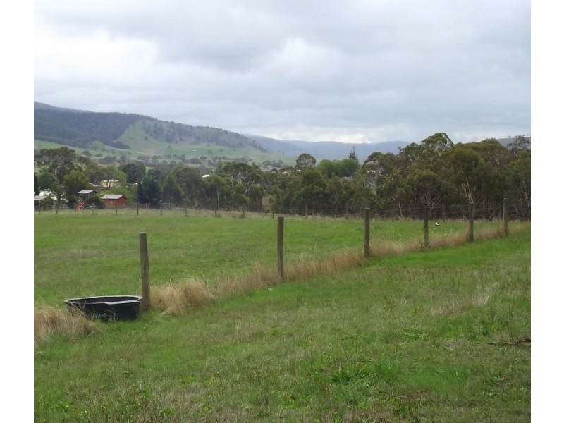 41 Sebastopol Hill Road, Omeo VIC 3898