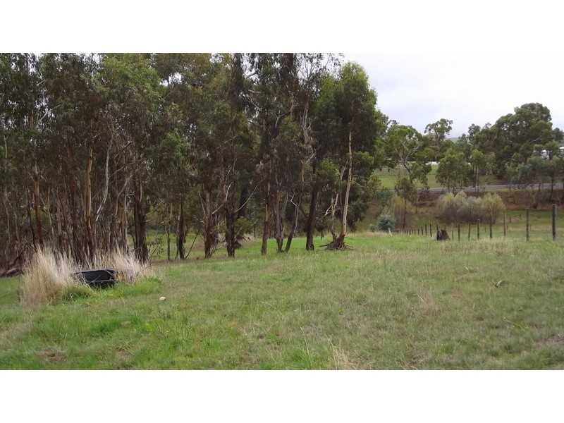 41 Sebastopol Hill Road, Omeo VIC 3898