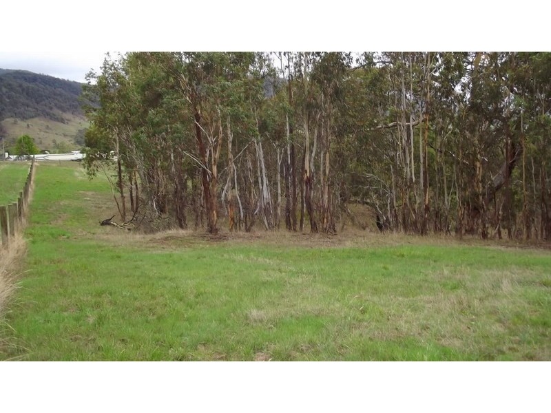 41 Sebastopol Hill Road, Omeo VIC 3898