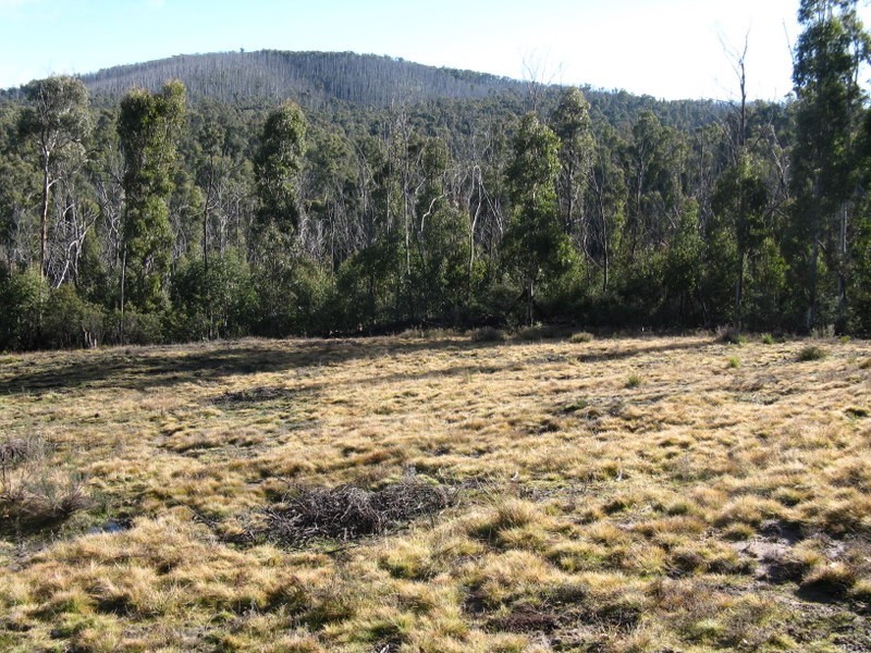 1186 Great Alpine Road, Omeo VIC 3898