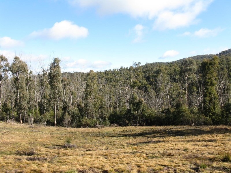 1186 Great Alpine Road, Omeo VIC 3898