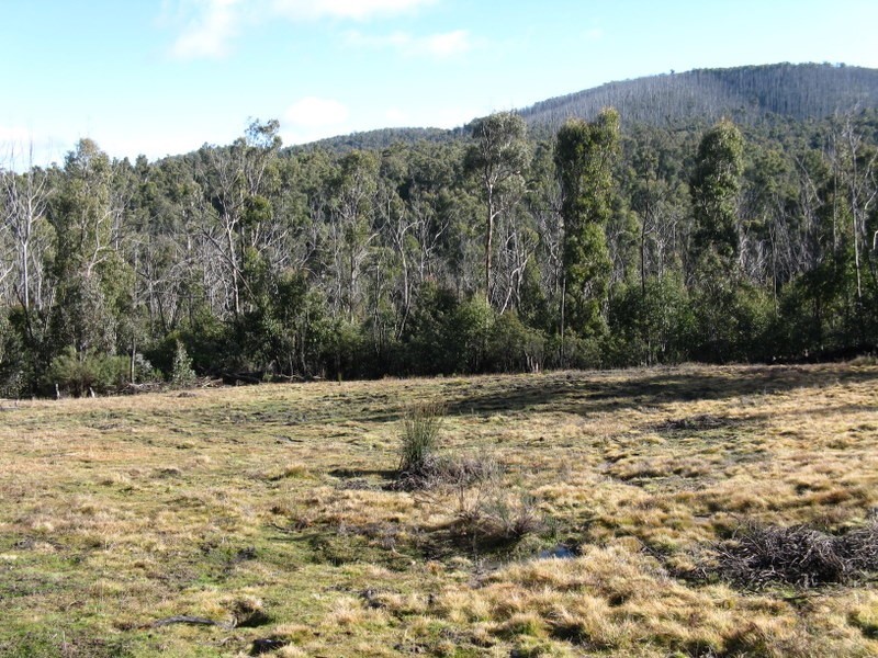 1186 Great Alpine Road, Omeo VIC 3898