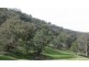 1466 Cassilis Road, Cassilis VIC 3898