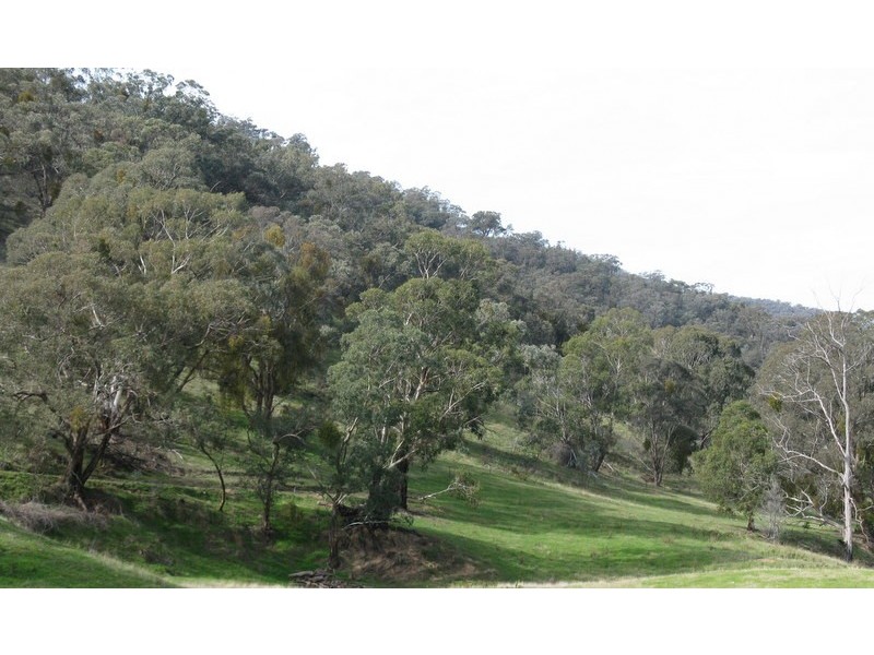 1466 Cassilis Road, Cassilis VIC 3898