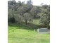 1466 Cassilis Road, Cassilis VIC 3898