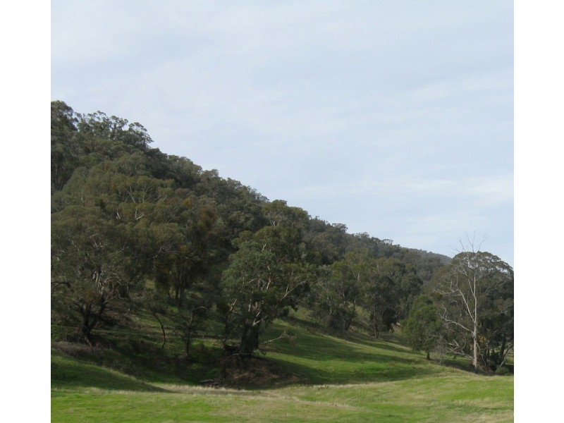 1466 Cassilis Road, Cassilis VIC 3898