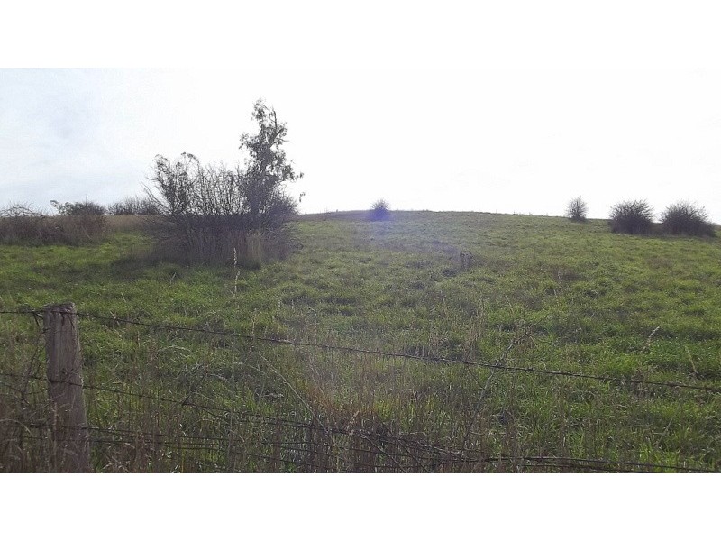 65 MacFarlane Street, Benambra VIC 3900