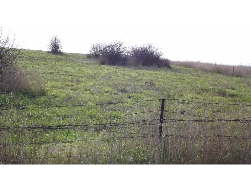 65 MacFarlane Street, Benambra VIC 3900