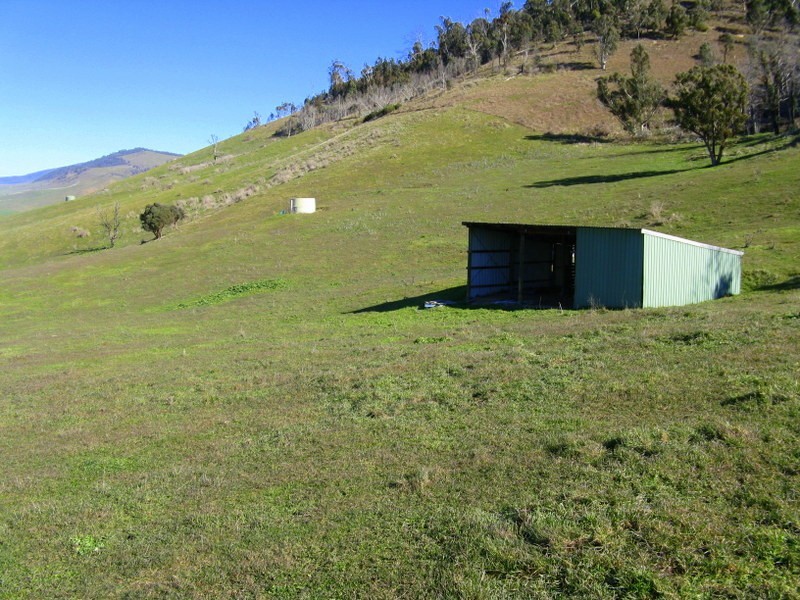 1199 Omeo Valley Road, Omeo VIC 3898