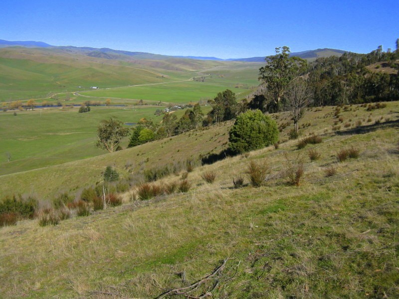 1199 Omeo Valley Road, Omeo VIC 3898