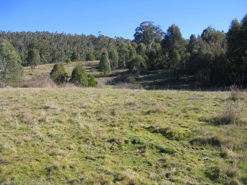 1199 Omeo Valley Road, Omeo VIC 3898