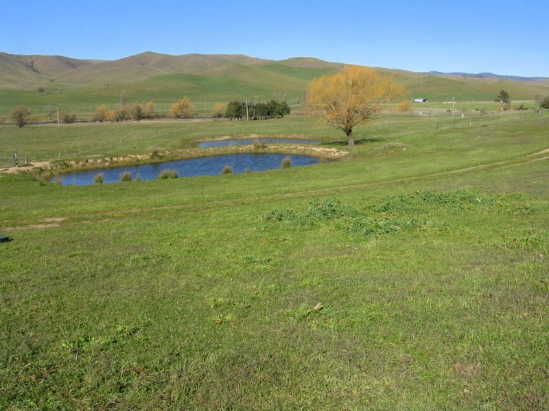 1199 Omeo Valley Road, Omeo VIC 3898