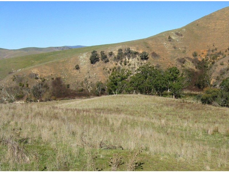 1199 Omeo Valley Road, Omeo VIC 3898