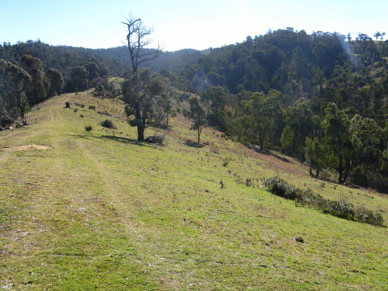 1199 Omeo Valley Road, Omeo VIC 3898